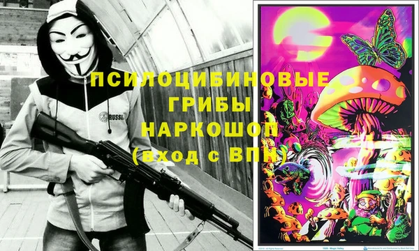 соль ск Алексин