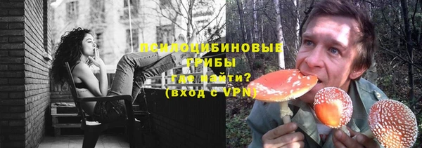 молекула духа Алексеевка