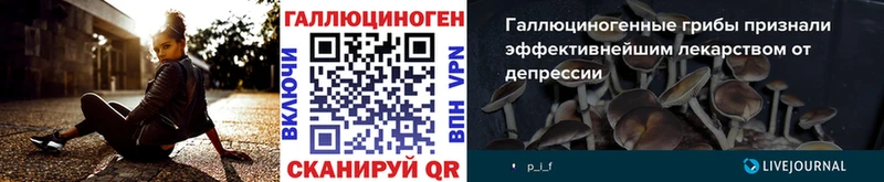 блэк спрут tor  Нытва  Галлюциногенные грибы GOLDEN TEACHER 